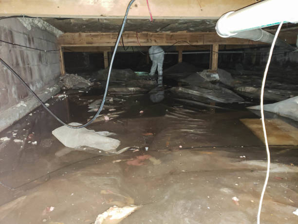 Best Ceiling and Wall Water Damage Repair in Volga, SD